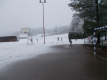 DSCN0385