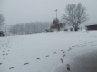 DSCN0386