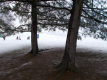 DSCN0387